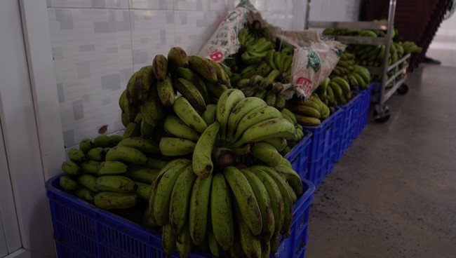 Continuing to support people in need in the Covid-19 pandemic of Hoang Phap Pagoda (series 4)